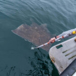 news-oban-skate-2019-0006