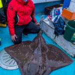 news-oban-skate-2019-0007