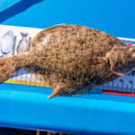 feature-achiniver-fail-0004