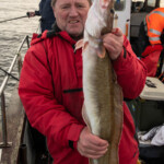 feature-sea-gem-november-2019-0001