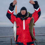 feature-sea-gem-november-2019-0005