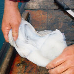 cuttlefish-bait-step-10