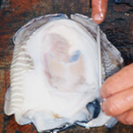 cuttlefish-bait-step-5