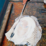 cuttlefish-bait-step-6