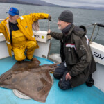 Stewart and Richard with their tag team skate Stewart and Richard with their tag team skate