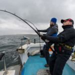 A double skate hook up A double skate hook up