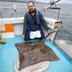 Alistair with his first ton-up skate Alistair with his first ton-up skate