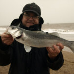 A 55cm bass for Paul A 55cm bass for Paul