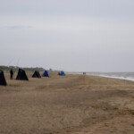 The match stretch looking North, produced a lot of bass on the ebb The match stretch looking North, produced a lot of bass on the ebb