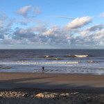 The-middle-section The-middle-section