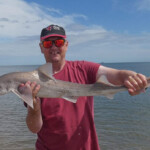 Grimsby ace Karl with a nice hound, which helped him to second place Grimsby ace Karl with a nice hound