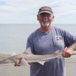 Grimsby ace Simon Drayton, who was only one hound off a podium spot Grimsby ace Simon Drayton