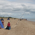 The match venue looking north The match venue looking north