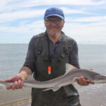 Well done Mark Lawson - a hound at last after your torrid times in the last few matches! Well done Mark Lawson - a hound at last