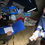 Fish carefully stored in in a bucket of water before being returned to the sea Fish carefully stored in in a bucket of water before being returned to the sea