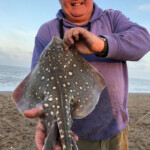 Dave with a nice male thornback 66cm A nice male thornback 66cm