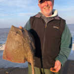 Grimsby ace Gary Hutson in third place with a nice ray of 5lb 6oz and 66cm Grimsby ace Gary Hutson in third place with a nice ray of 5lb 6oz and 66cm