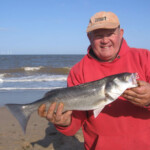 Dave Shorthouse gave us all a masterclass today with 12 fish for 401cm and first place Dave Shorthouse gave us all a masterclass today with 12 fish for 401cm and first place