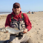 Mylo Disney with a 54cm bass caught on a whole squid Mylo Disney with a 54cm bass caught on a whole squid