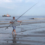Adie with another hound and the sand pumping tug in the background Adie with another hound and the sand pumping tug in the background
