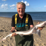 Match winner Tony Burman with a nice smooth hound Match winner Tony Burman with a nice smooth hound
