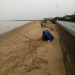 The match stretch looking South The match stretch looking South