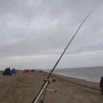 Match stretch looking north Match stretch looking north