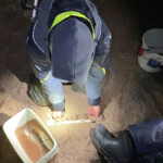 Measuring the catch Measuring the catch