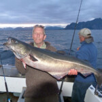 no-problem-coalfish-sept-2013-012