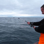 no-problem-coalfish-sept-2013-013