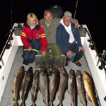 no-problem-coalfish-sept-2013-016