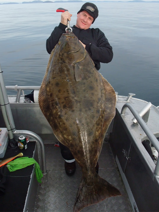 210cm and 195cm Halibut on the first day! – Havøysund Fishing