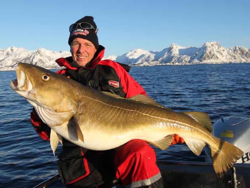 Norway cod