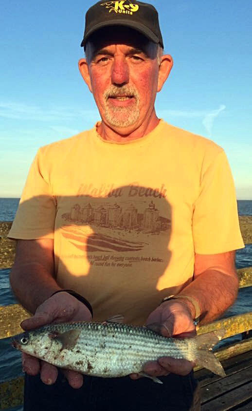 Vic Pearce with an unusual grey mullet