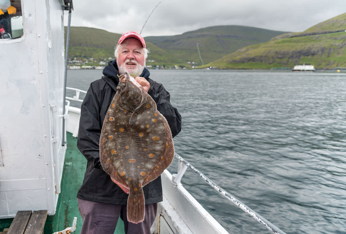 Record Breaking Plaice in the Faroe Islands Planet Sea 