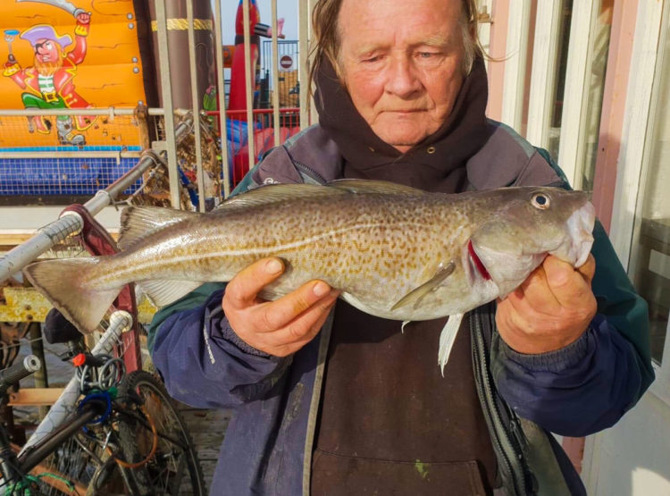 Pier member David Playforth with a codling